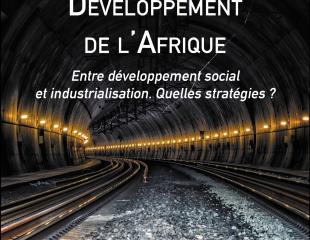 Développement de l'Afrique: Entre développement social et industrialisation. Quelles stratégies?